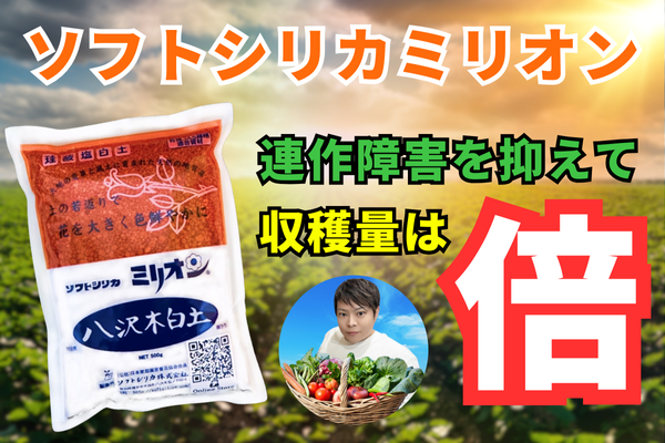 ミリオン 1kg 20袋入り