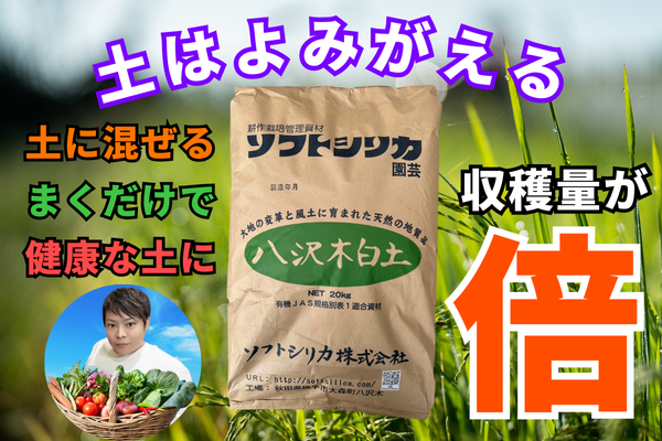 ソフトシリカ 園芸用 – ソフト・シリカ株式会社