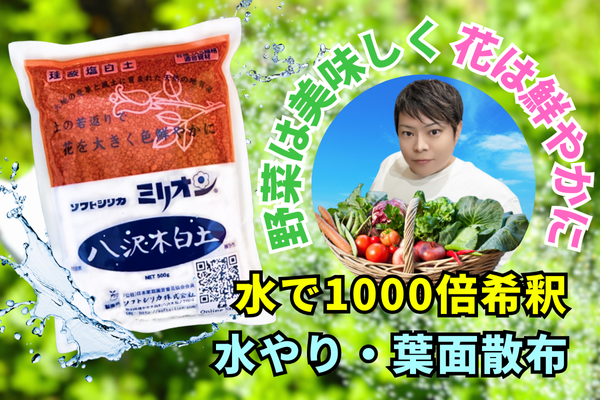 ミリオン 500g